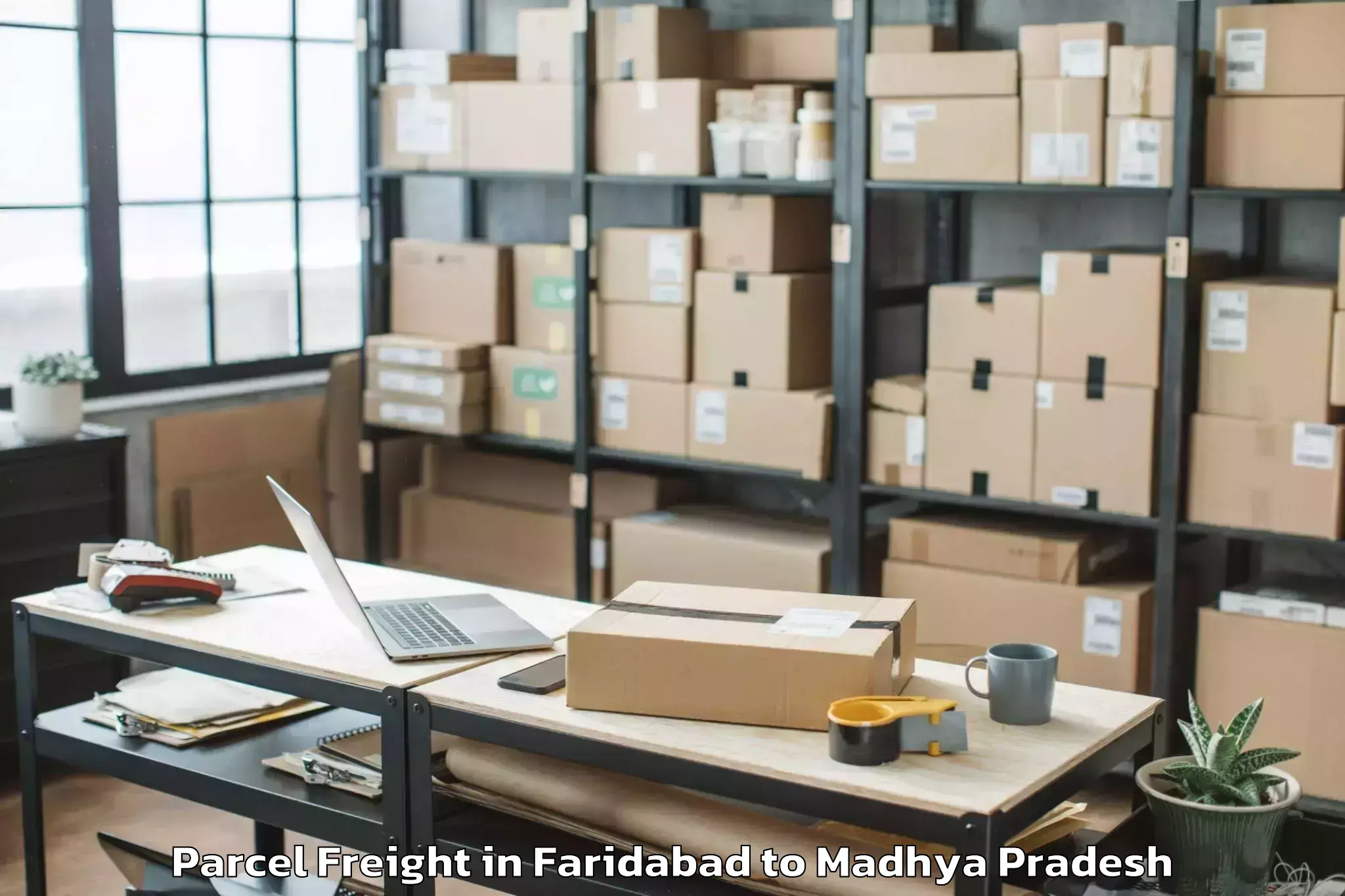 Top Faridabad to Dhamnod Parcel Freight Available